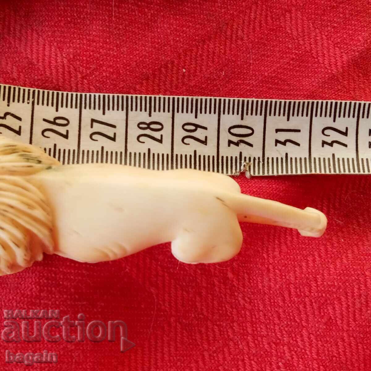 Colț de elefant. - 7