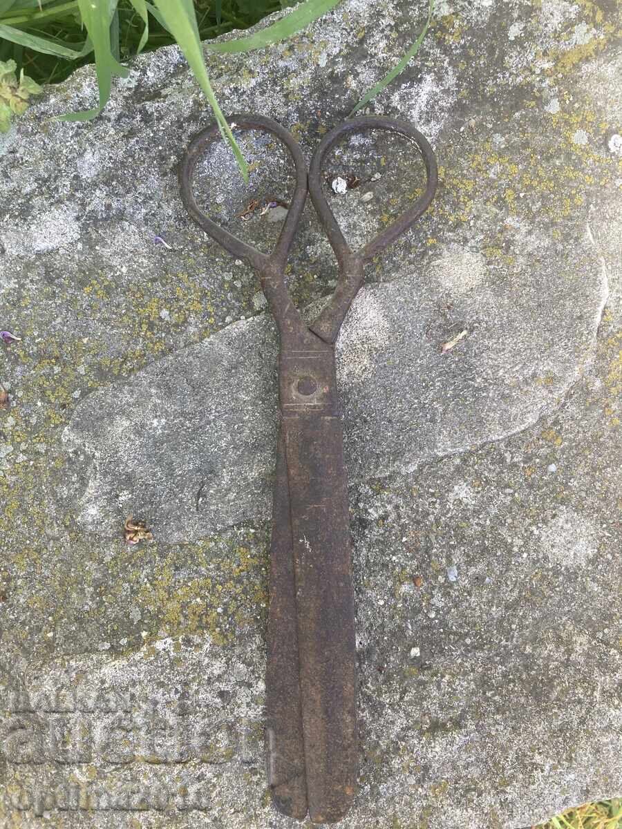 Old scissors 4