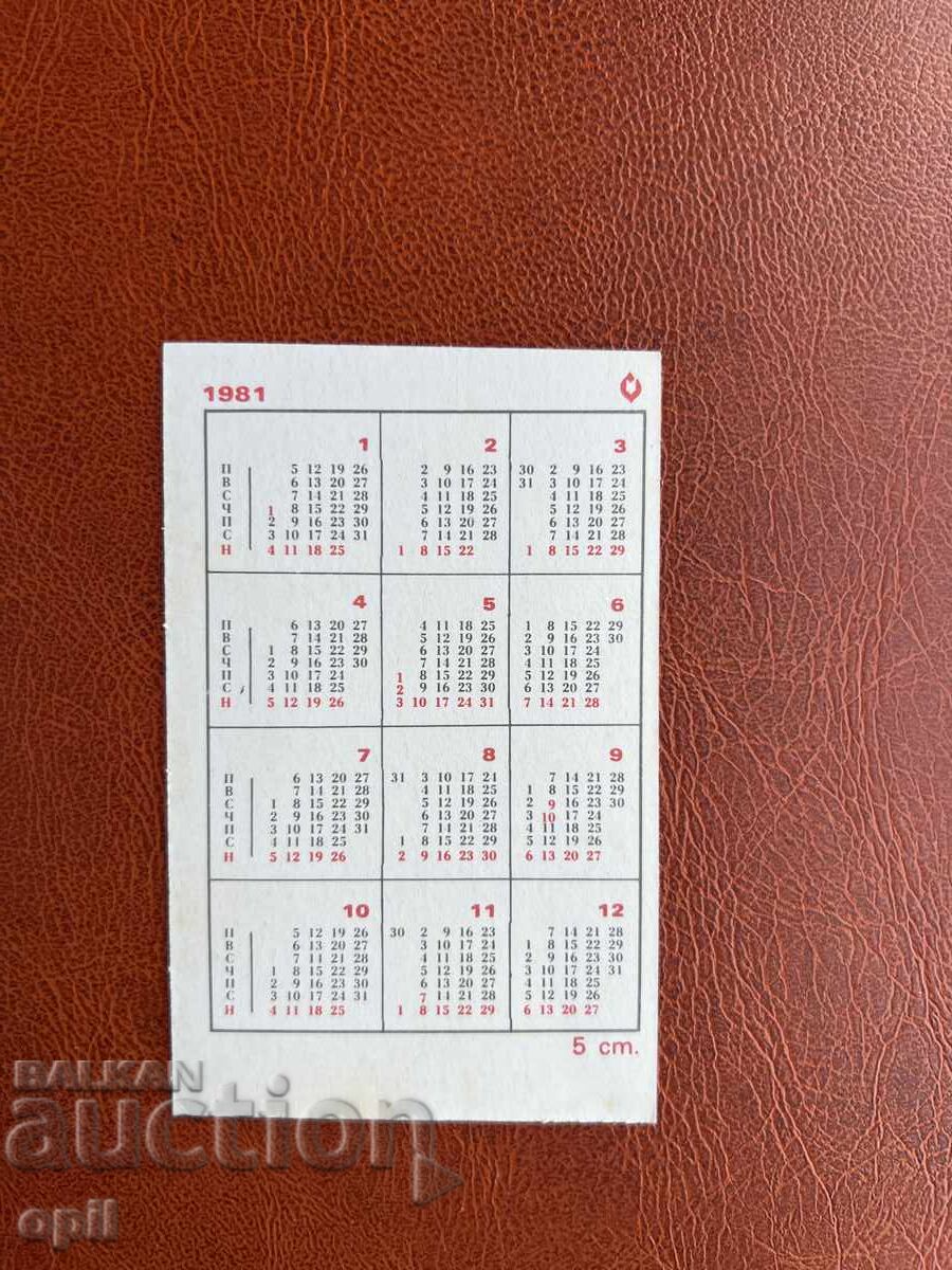 Buggy Calendar - Koala 1981 with price 0.80 BGN | € 0.41
