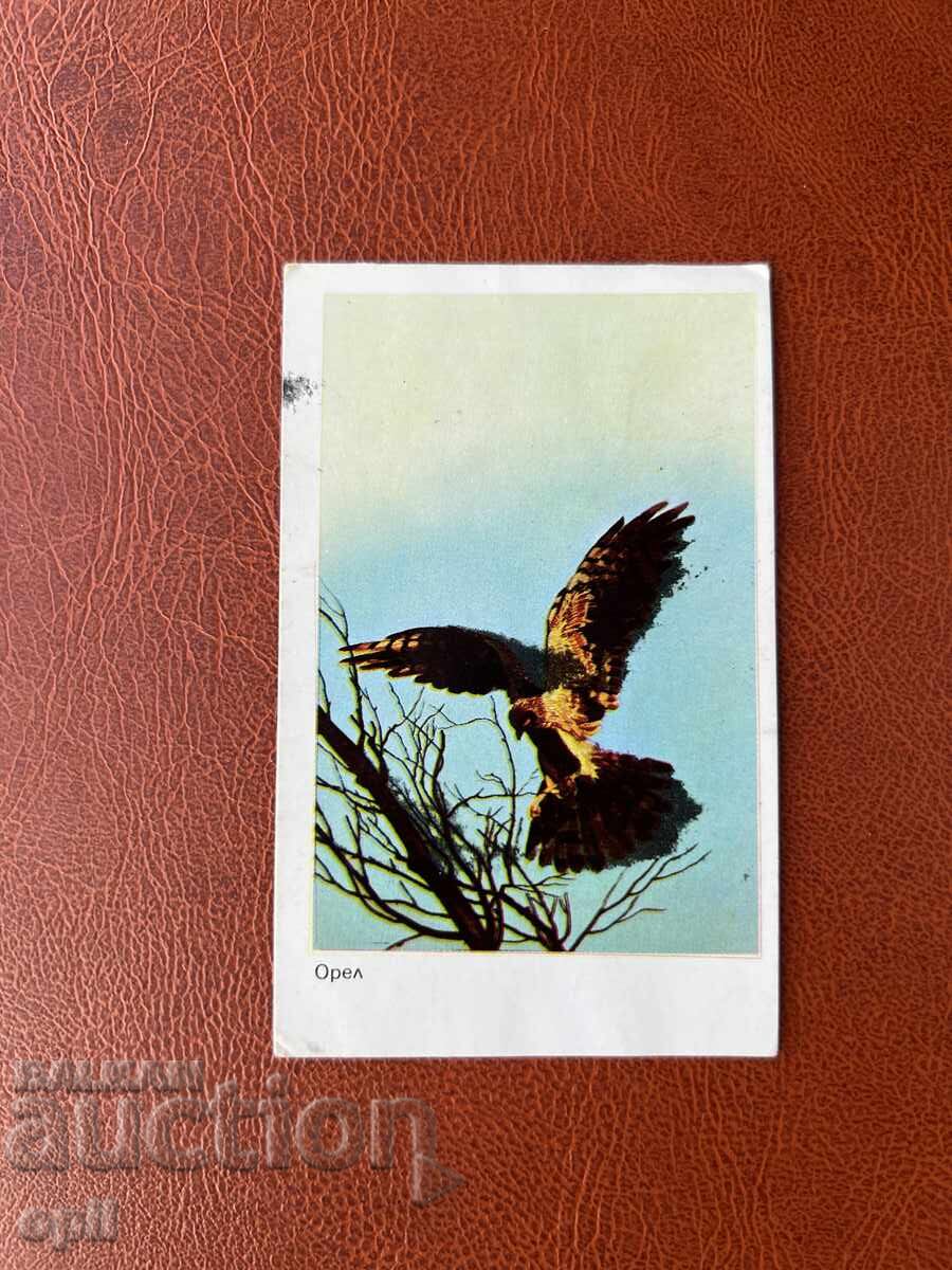 Календарче  Орел   1984