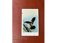 Календарче  Орел   1984