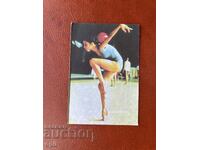 Sport Toto Calendar 1985