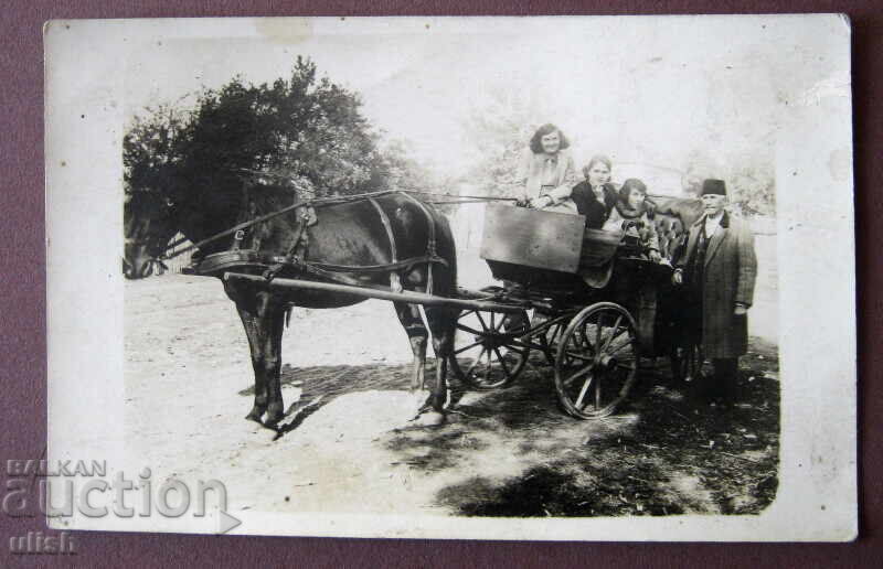 Regatul Bulgariei cal căruță fotografie foto carte poștală CP