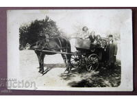 Βασίλειο της Βουλγαρίας άμαξα αλόγου φωτογραφία καρτ ποστάλ (PK)