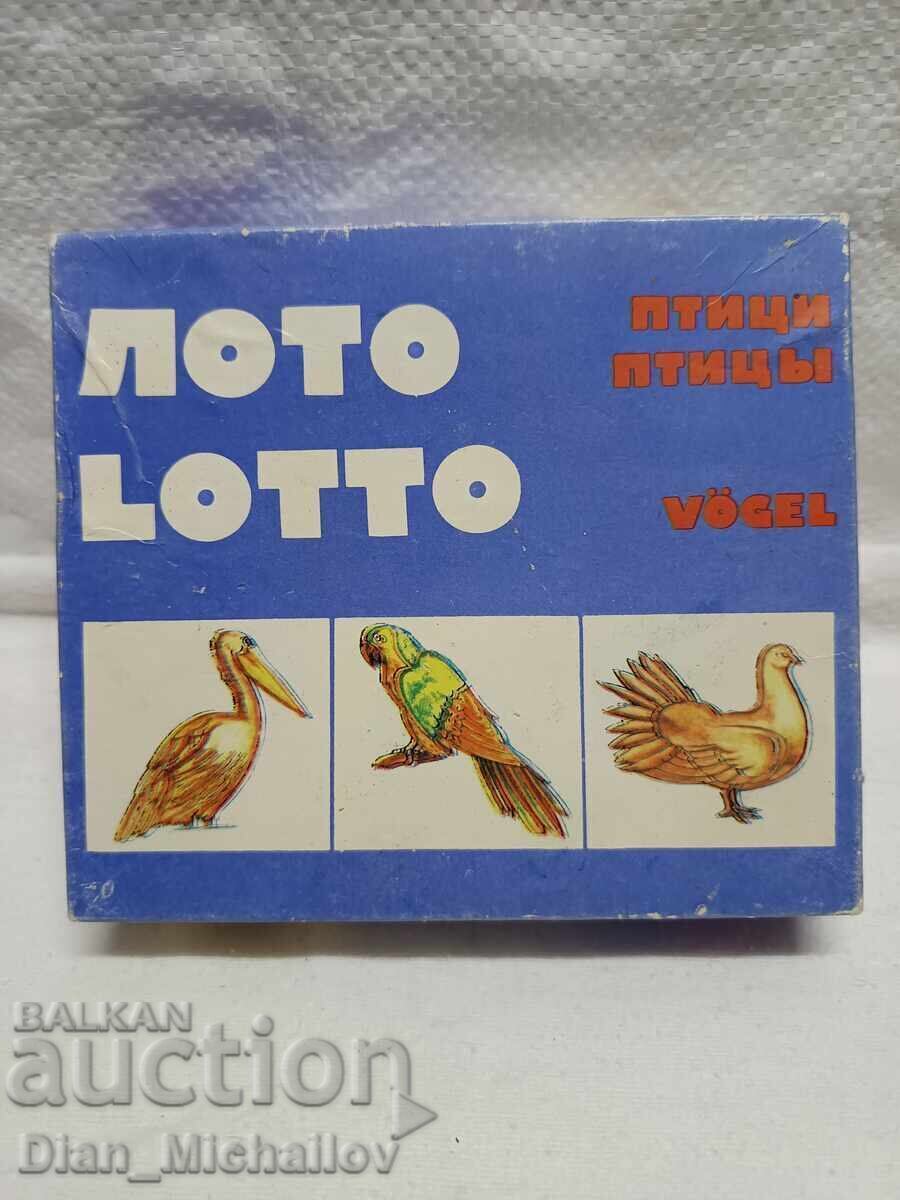 Social Game Lotto Birds Social Game Lotto Birds