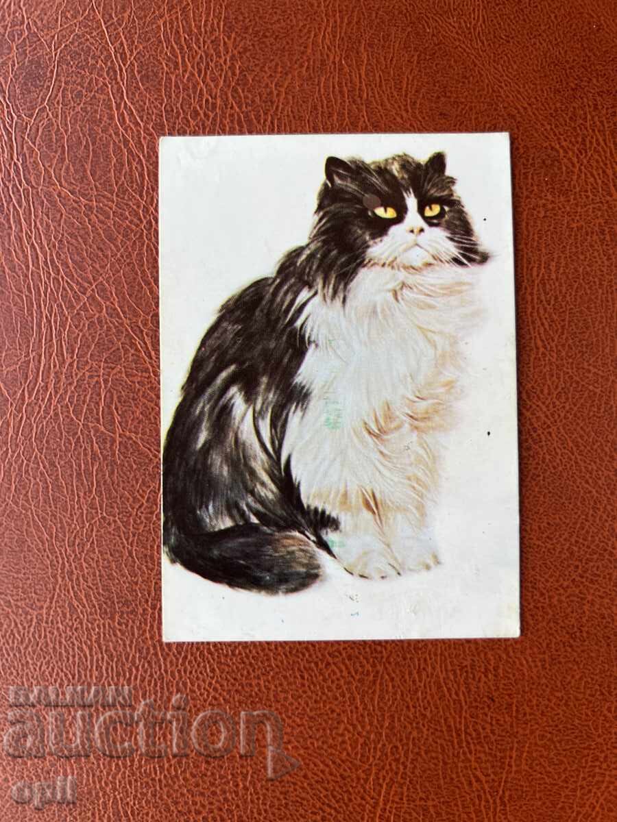 Calendar 1985 Calendar 1985