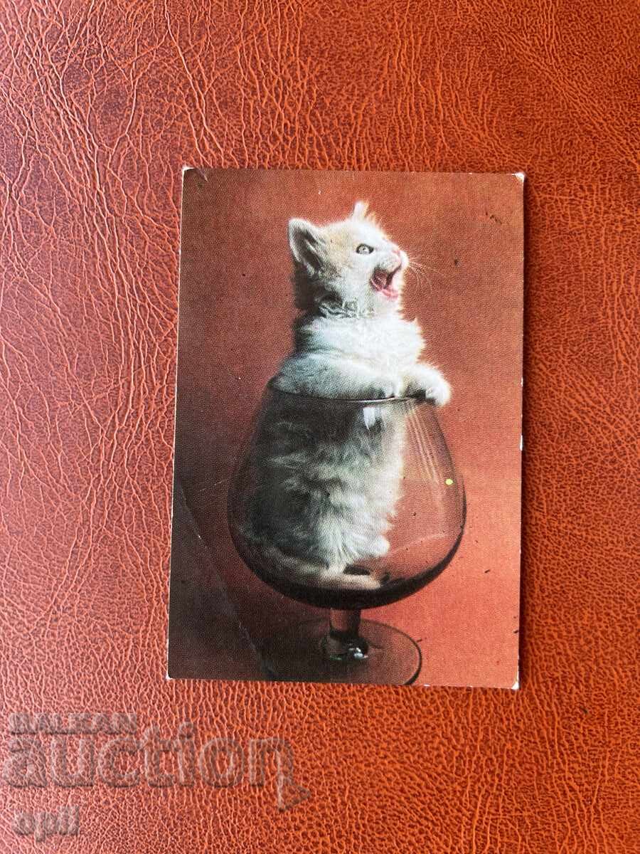 Ημερολόγιο 1985 Ημερολόγιο 1985