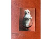 Ημερολόγιο 1985