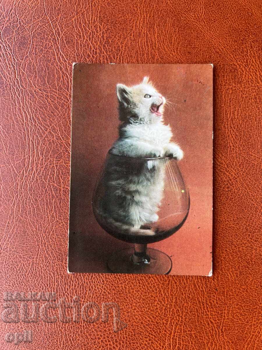 Календарче   1985