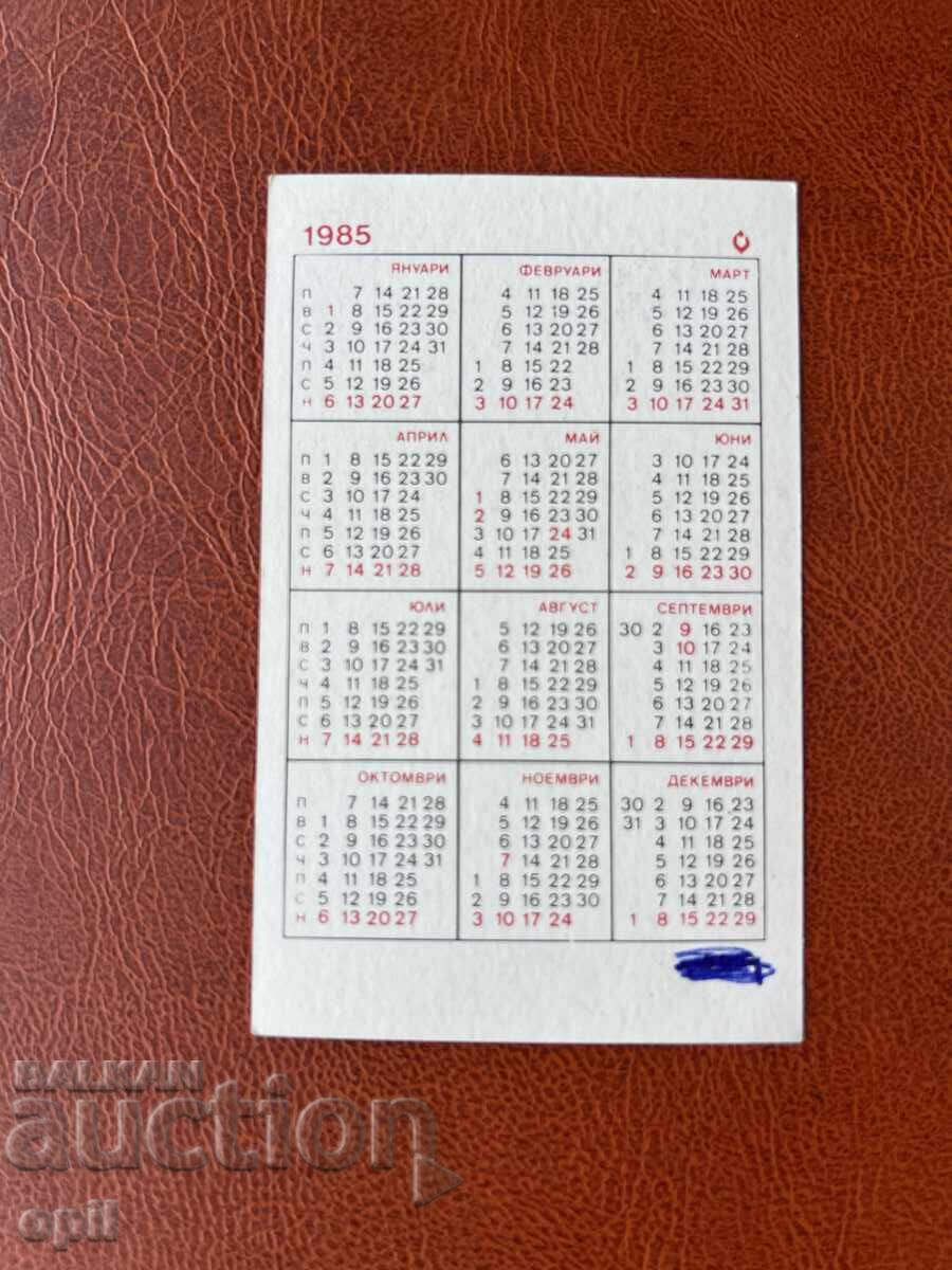 Календарче Афганистанска Хрътка 1985 с цена 0.60 лв. | € 0.31 Календарче Афганистанска Хрътка 1985 с цена 0.60 лв. | € 0.31