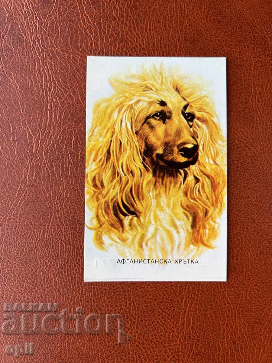 Календарче Афганистанска Хрътка 1985 Календарче Афганистанска Хрътка 1985