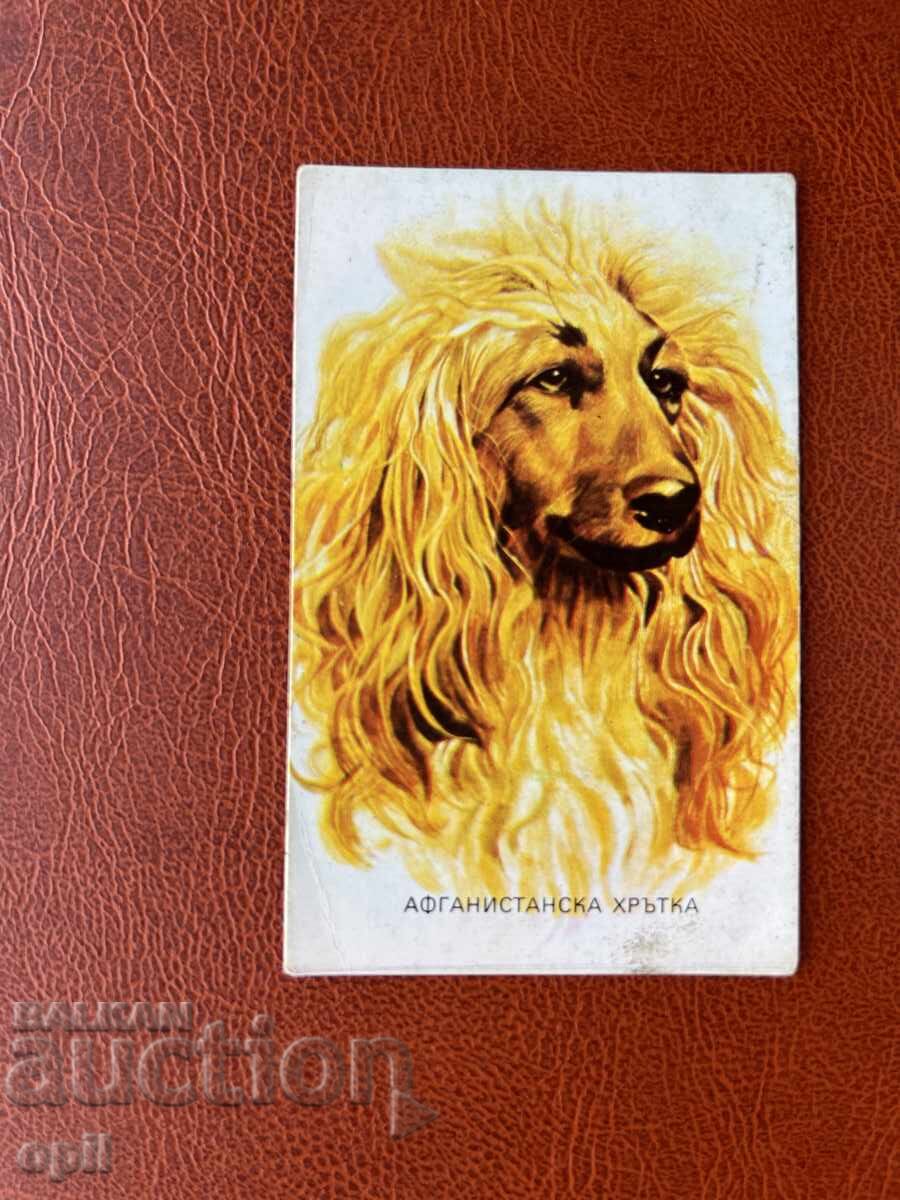 Ημερολόγιο Αφγανικό Γκρι Χάουντ 1985 Ημερολόγιο Αφγανικό Γκρι Χάουντ 1985