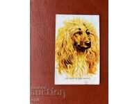 Ημερολόγιο Αφγανικό Γκρι Χάουντ 1985