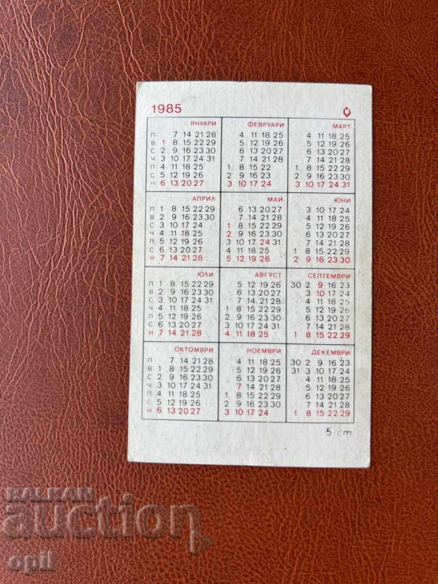 Afghan Hound Calendar 1985 with price 0.60 BGN | € 0.31