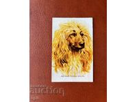 Ημερολόγιο Αφγανικό Γκρι Χάουντ 1985