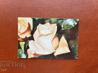 Ημερολόγιο Λουλούδια 1985