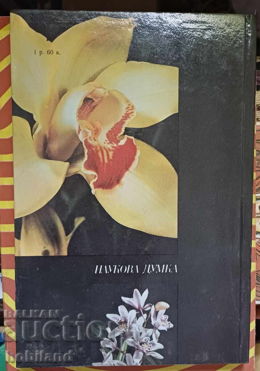 Orhidee, cultivare cu preț 10.00 BGN | € 5.11 Orhidee, cultivare cu preț 10.00 BGN | € 5.11