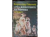 Μέσα στα ζώα της Αφρικής