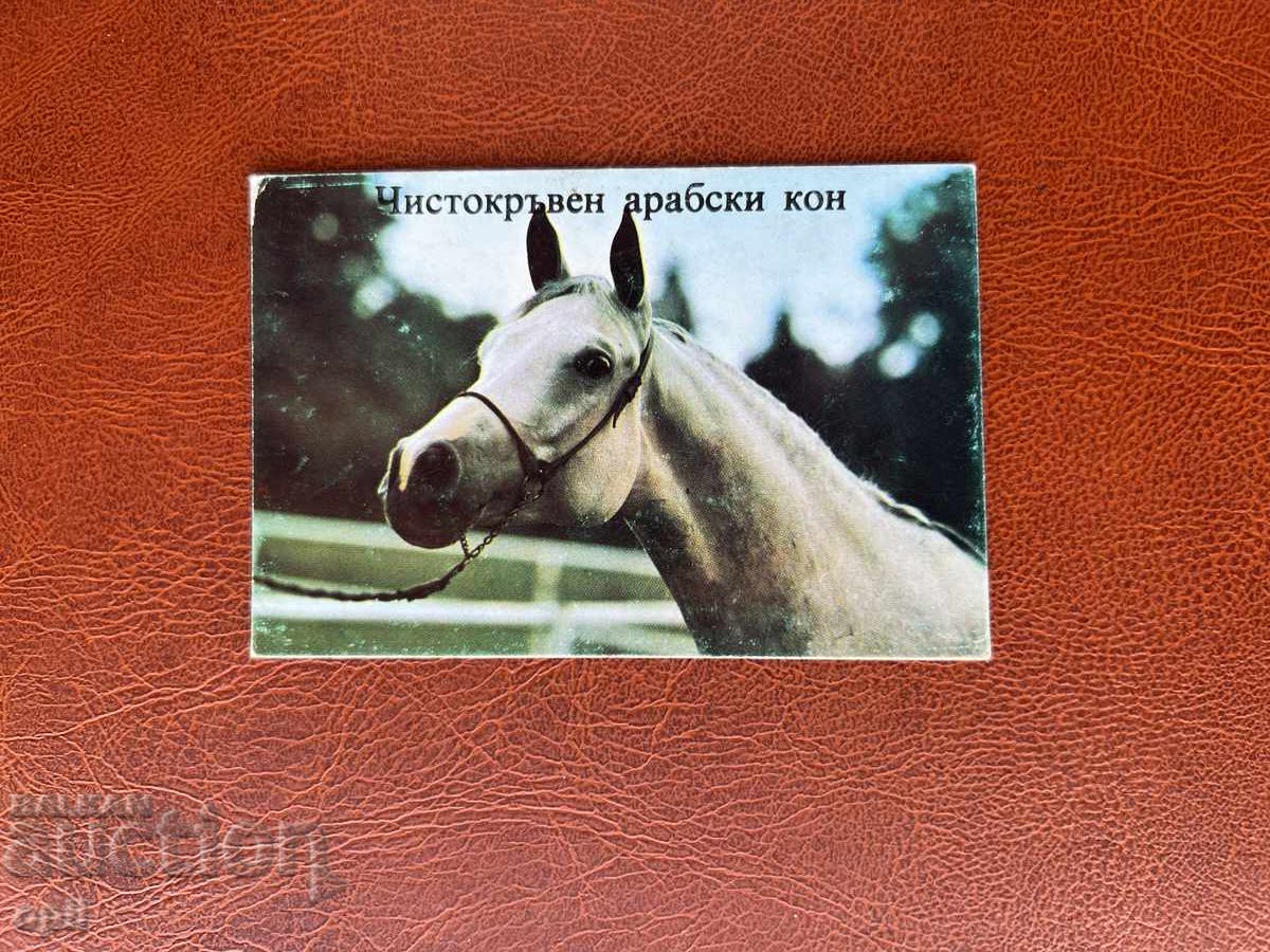 Ημερολόγιο 1986 Ημερολόγιο 1986