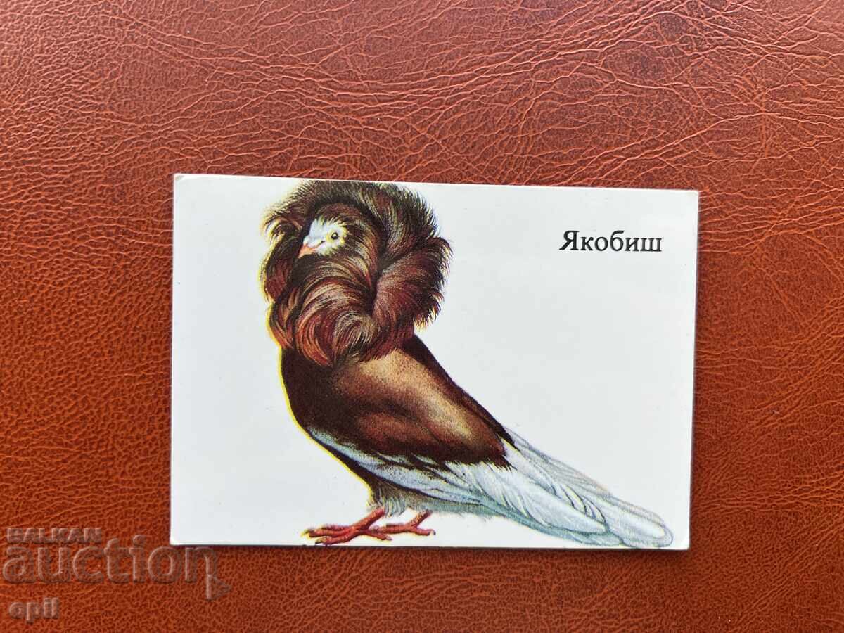 Ημερολόγιο Jakobisch 1986