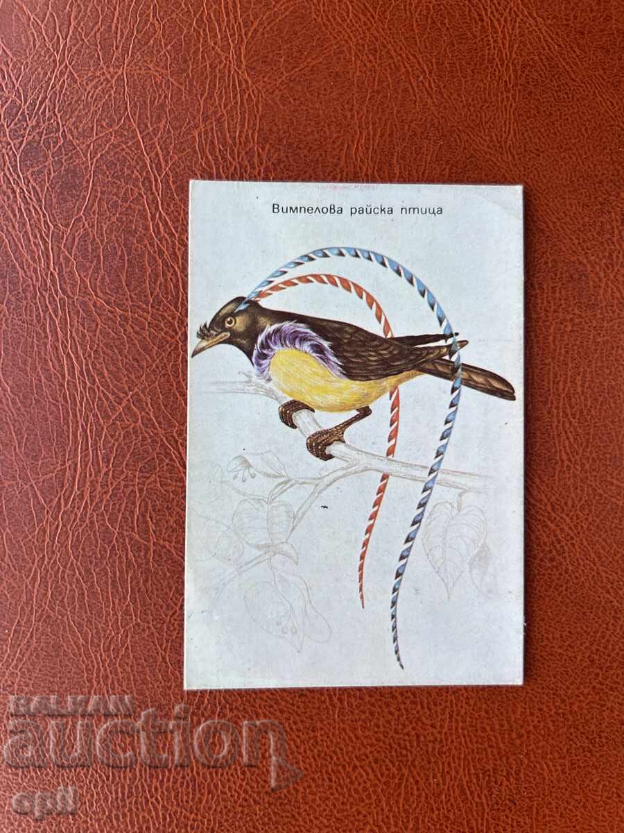 Календарче  Райска Птица   1986