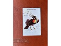 Ημερολόγιο Παράδεισο Πουλί 1986