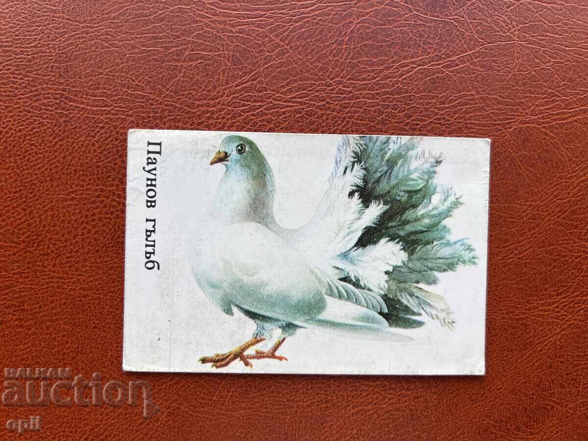 Calendar Paun de Porumbel 1986 Calendar Paun de Porumbel 1986