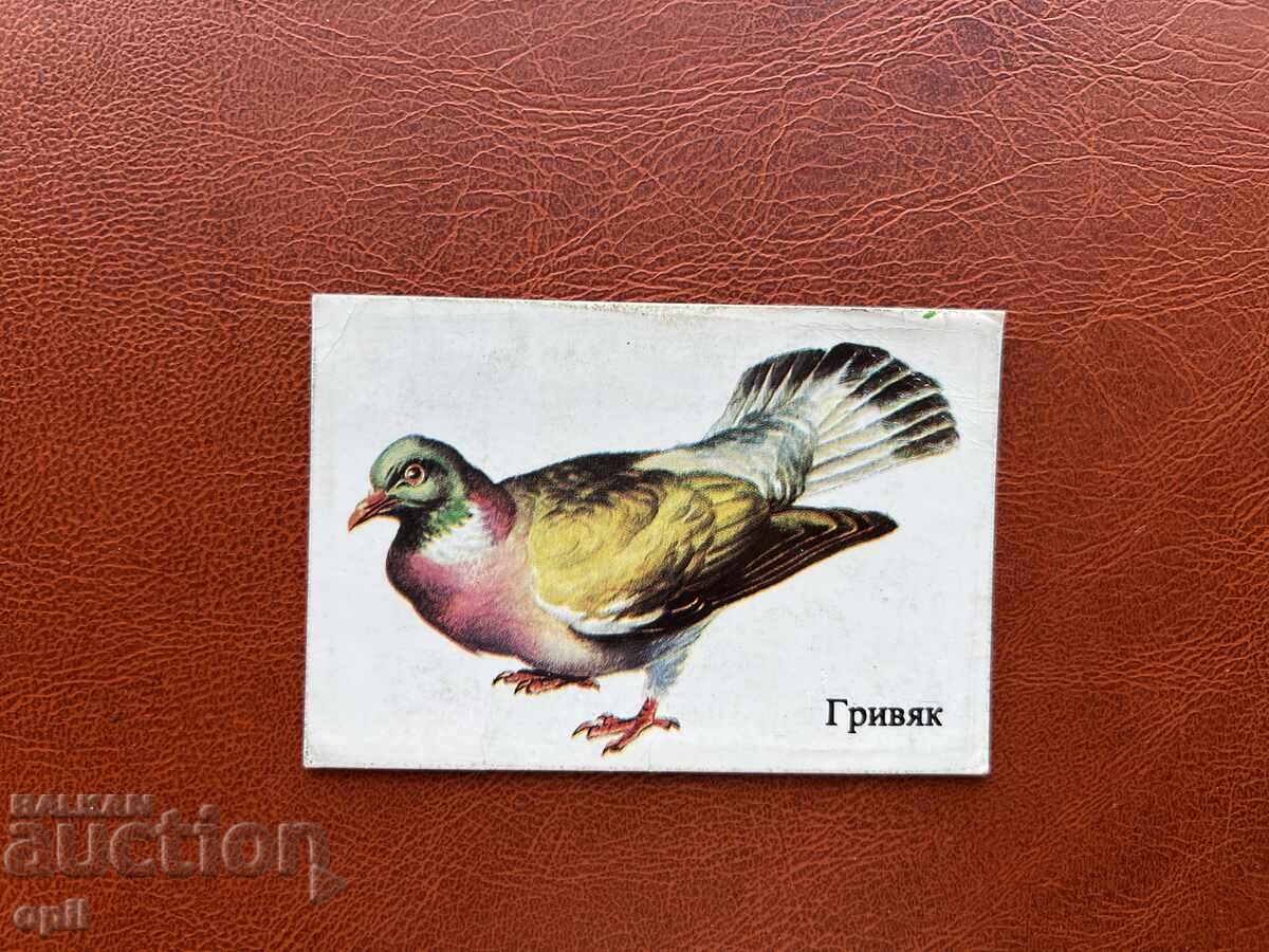 Ημερολόγιο Γκρίβιακ 1986