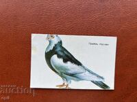 Ημερολόγιο Πράγας Τούρμαν 1986