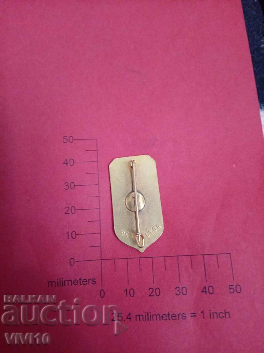 Старинна брошка емаил Lion с цена € 15.00 | 29.34 лв.