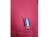 Παλιά σμάλτινη καρφίτσα Λιοντάρι