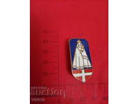 Antique Enamel Brooch