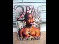 Placă metalică 2 pac Tu Pac rap R 'n B hituri pistol cântăreț