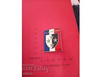 Παλαιό σήμα Γαλλίας, σμάλτο