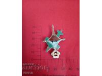 Antique French Badge, Enamel