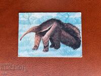 1987 Giant Anteater Calendar