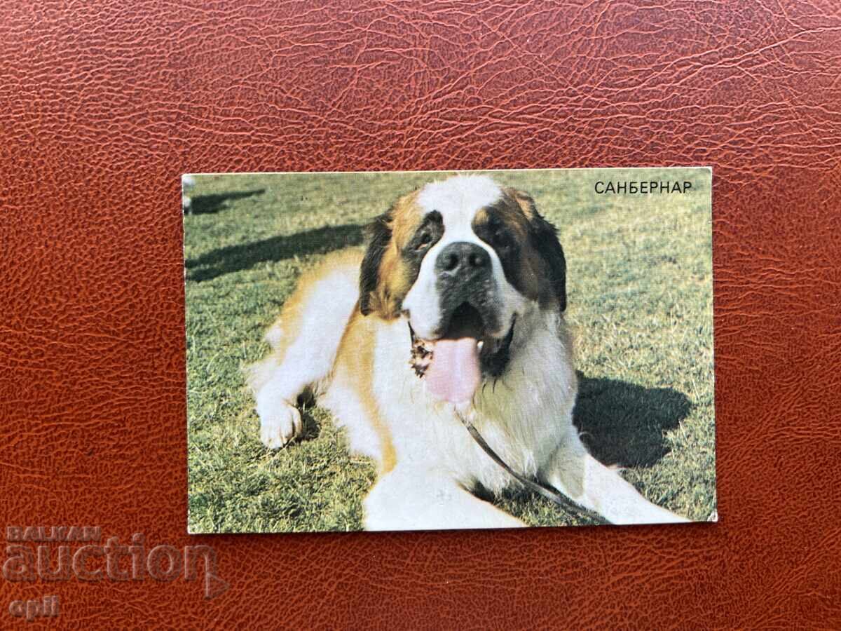 Calendar Sanbernard 1988