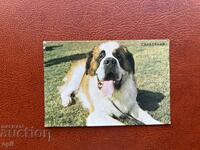 Calendar Sanbernard 1988