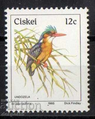 1985. Ciskei, South Africa. Birds - Malachite Kingfisher 1985. Ciskei, South Africa. Birds - Malachite Kingfisher