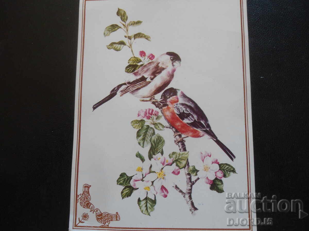 Old greeting card, 14.II.19-7 g