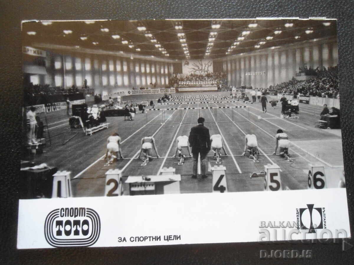 Спортна зала "Фестивална", Европейско първенство, 1971 г. Спортна зала "Фестивална", Европейско първенство, 1971 г.