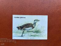 Ημερολόγιο Great Bustard 1989