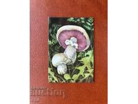 Calendar Ciuperci 1990