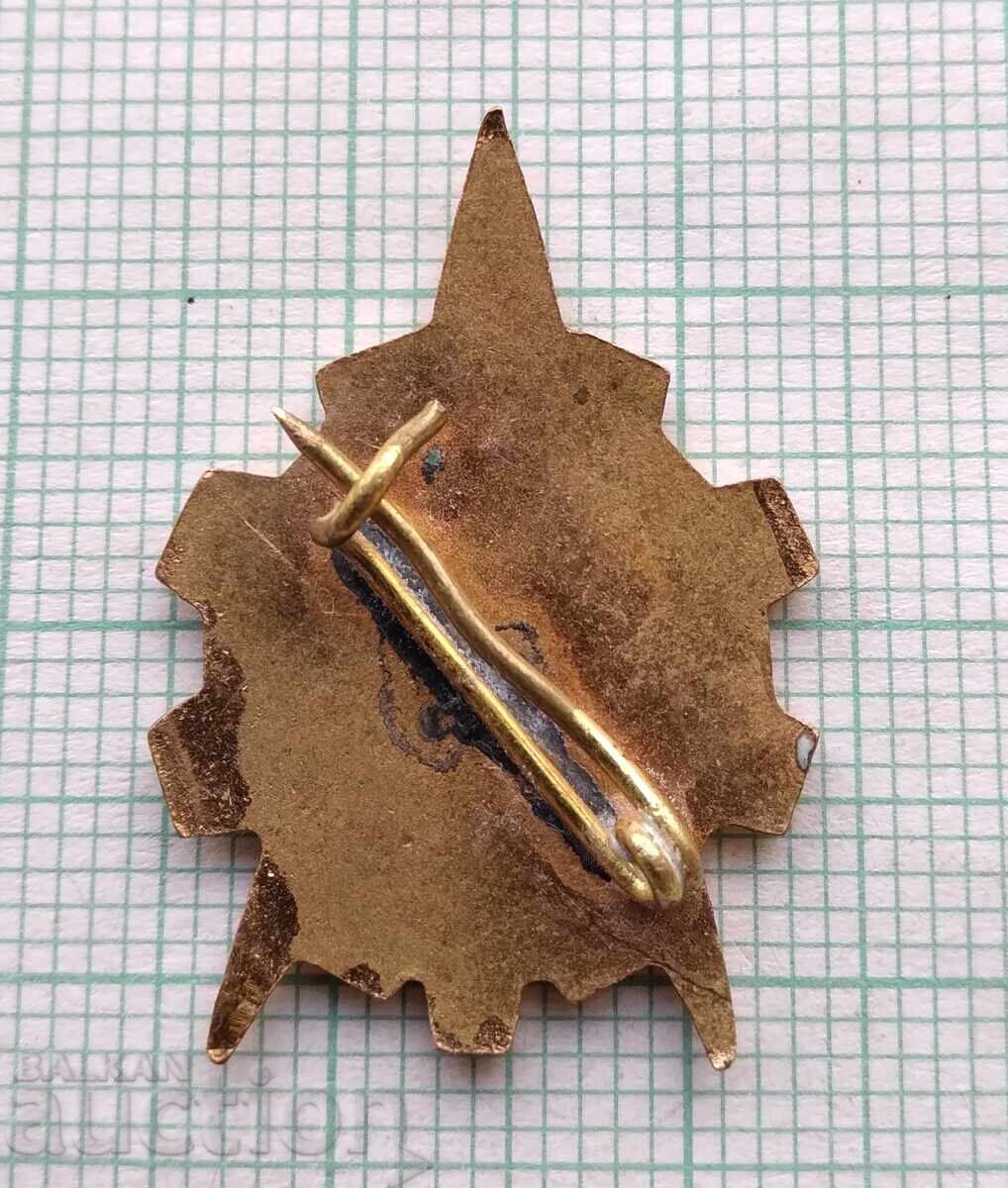 Δημοπρασία 19076 Σηματάκι - Νέος τεχνικός - μπρούτζινος σμάλτο