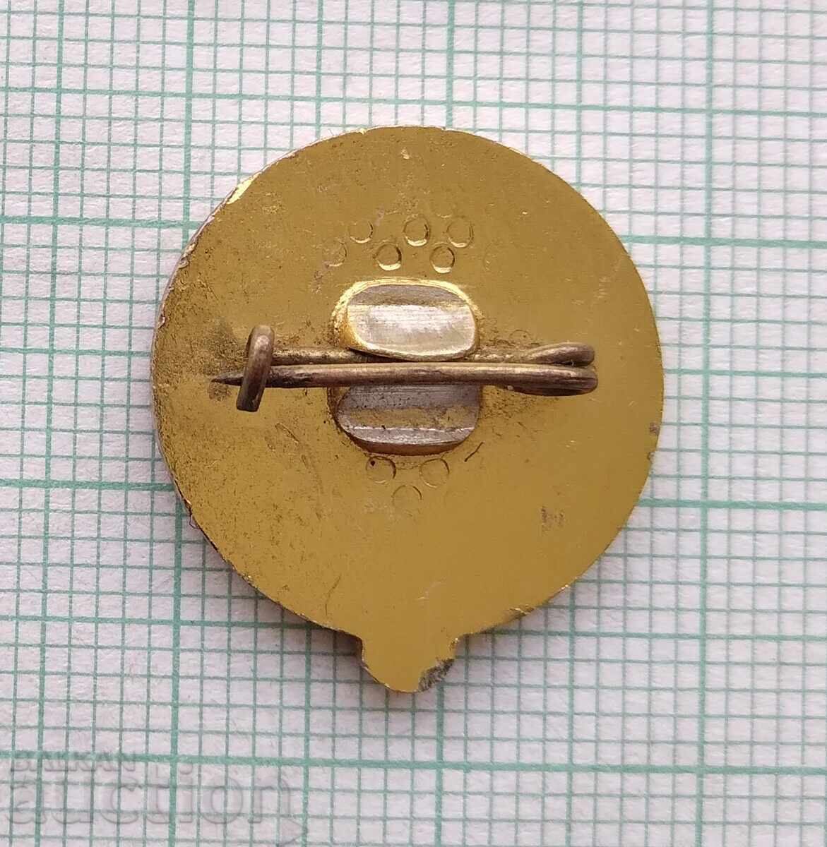 Livrarea 19078 Insigna - Parașută Parașutist Livrarea 19078 Insigna - Parașută Parașutist