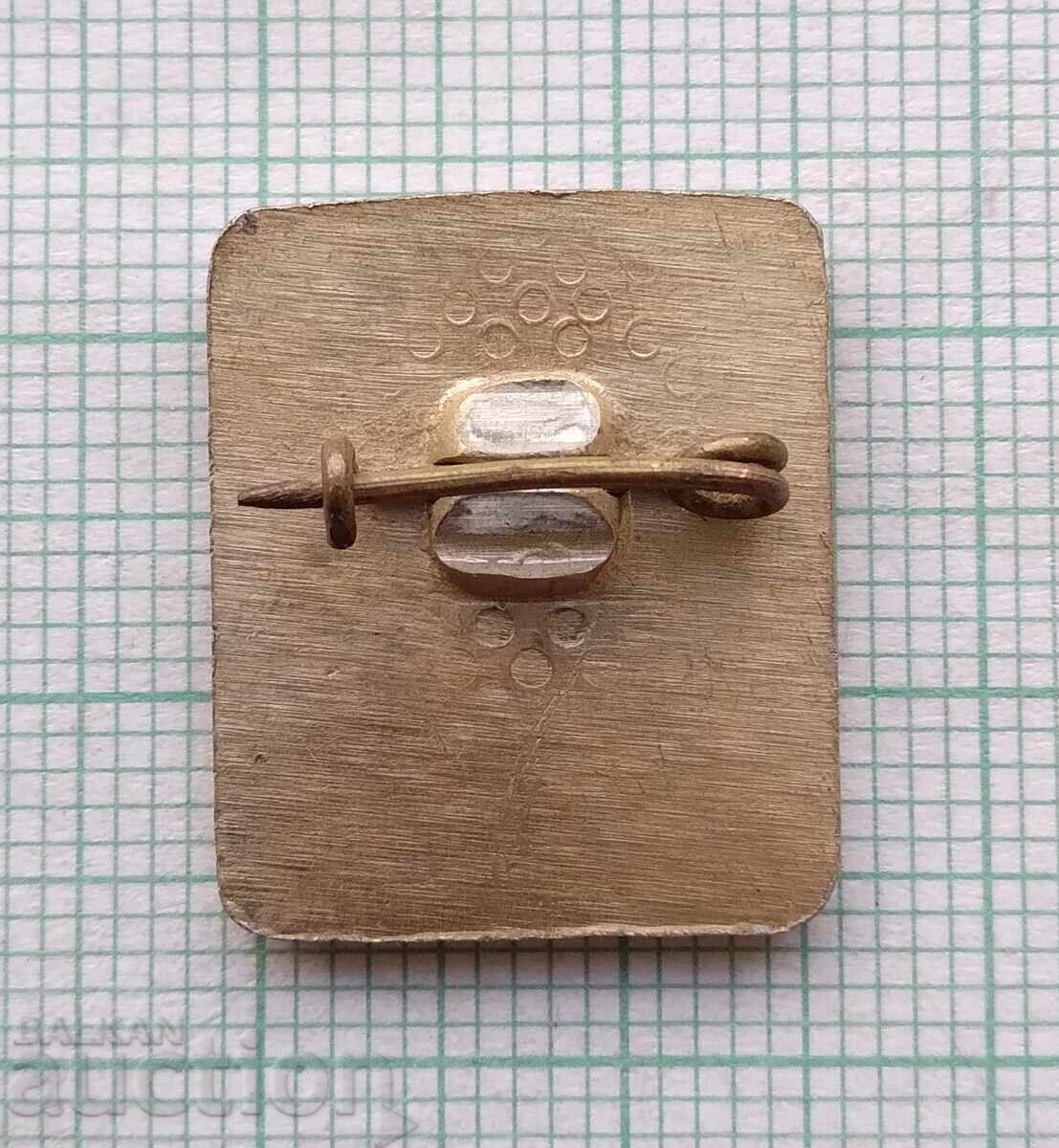 Auction  19079 Badge - Boyana Master