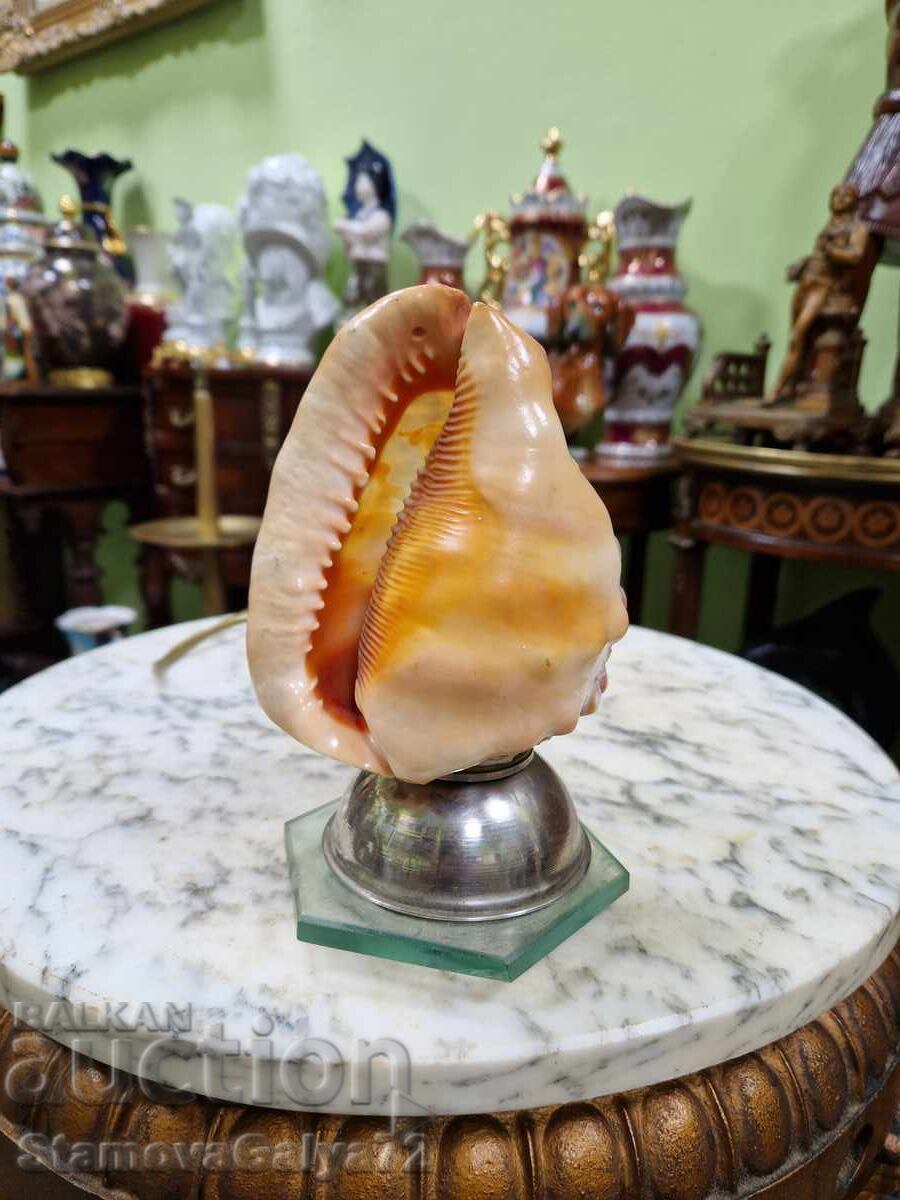 Unique - Rare antique French lamp made of seashell by hand - 5 Unique - Rare antique French lamp made of seashell by hand - 5