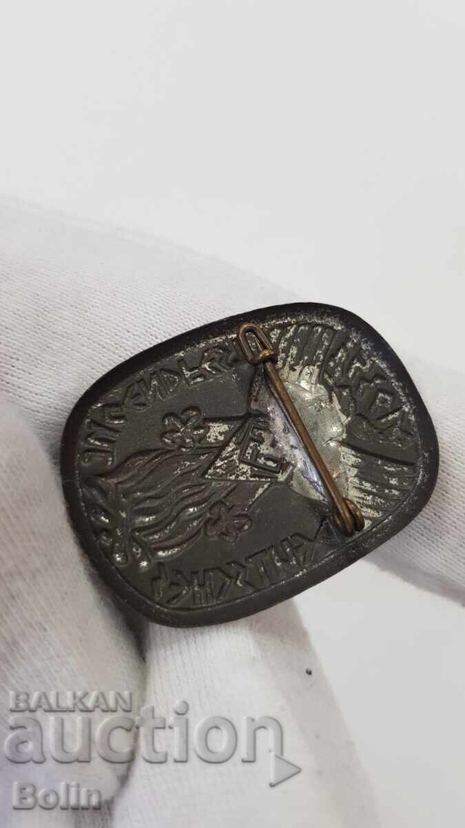 Συλλεκτικό σήμα, κονκάρδα Τρίτου Ράιχ - Γερμανία - 5