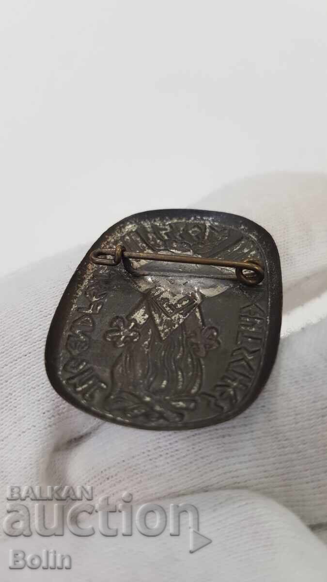 Συλλεκτικό σήμα, κονκάρδα Τρίτου Ράιχ - Γερμανία - 6