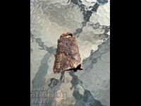 Clopoțel. Pocnitură